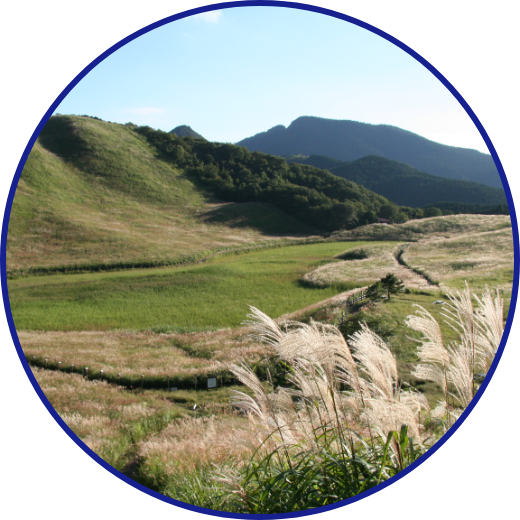 自然環境・景観の保護