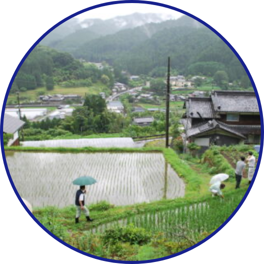 若者定住の促進